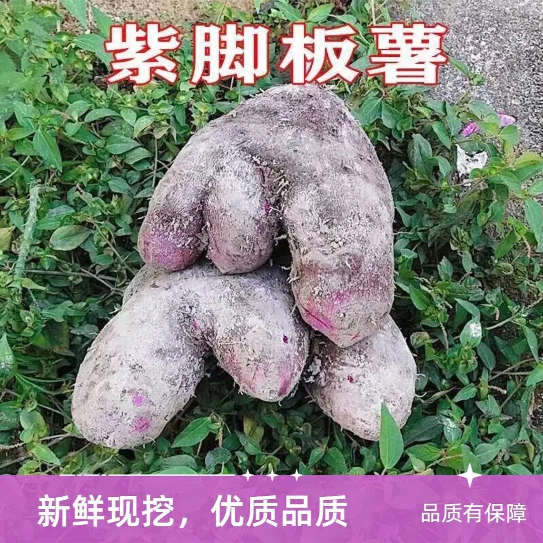 赣南紫山药紫玉淮山大薯现挖现发农家蔬菜江西特产脚板薯铁棍山药