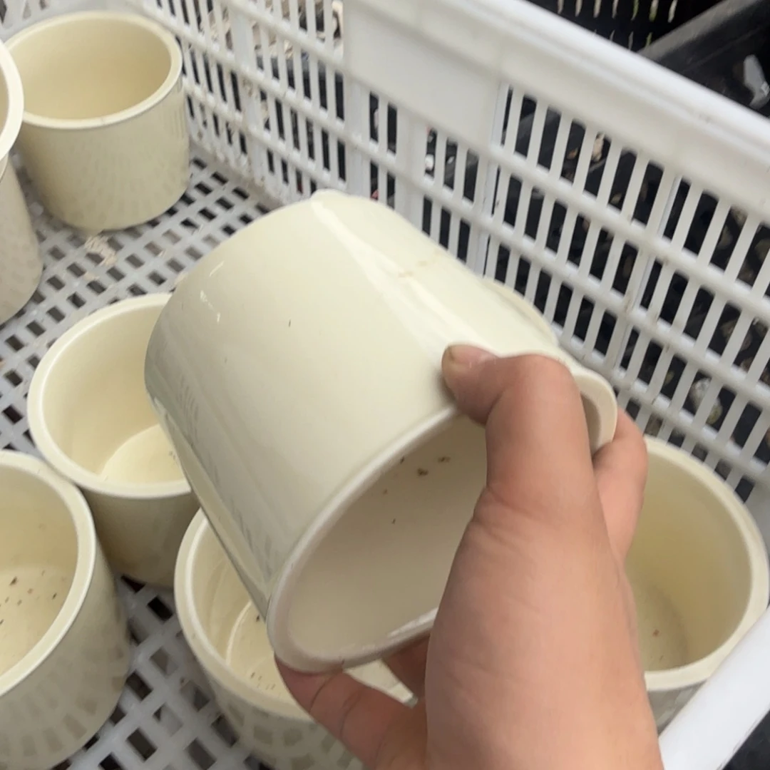 陶瓷茶具微瑕介意勿拍紫泥