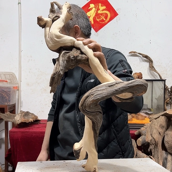 柏木海*我们的生活也是