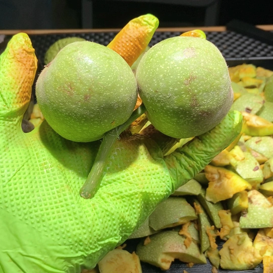 南瓜墩啥也不保不退不换