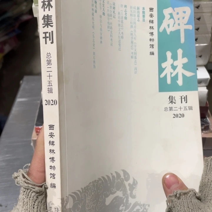 碑林集刊正版书籍