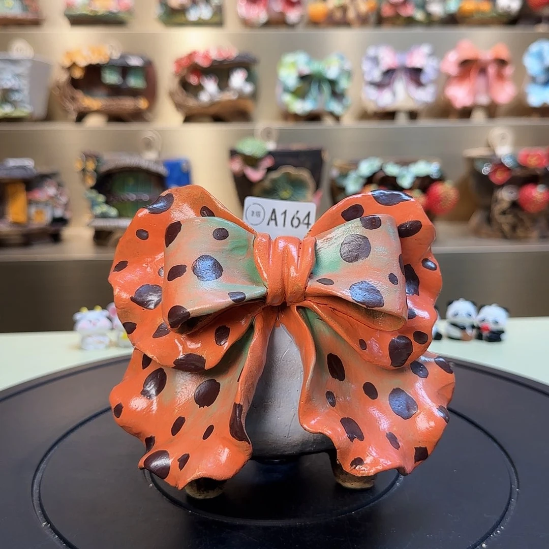 A164 【闪购】多肉花盆