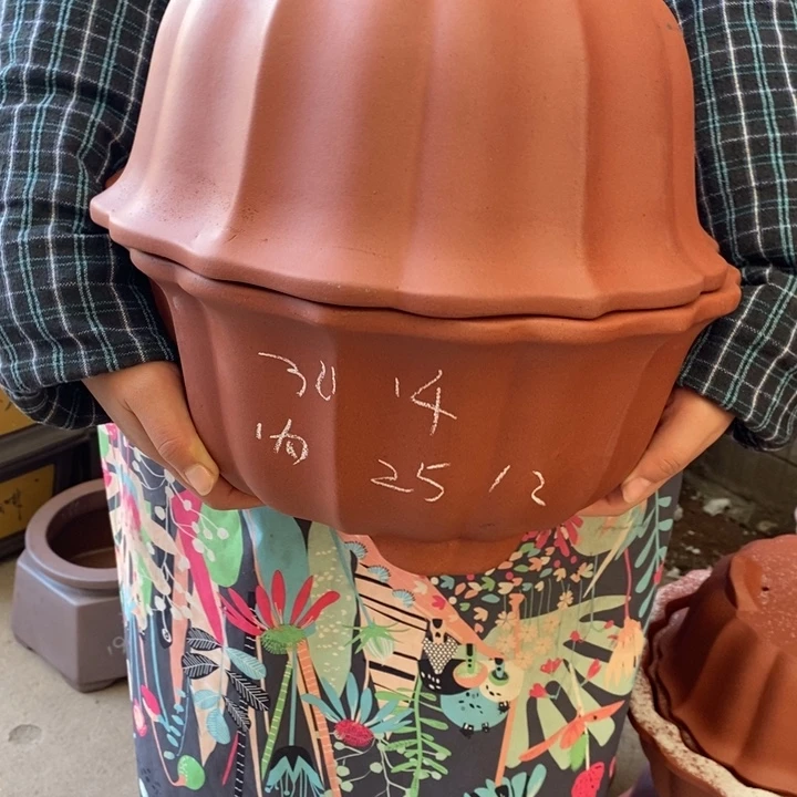 花盆紫砂自己的事情的时候