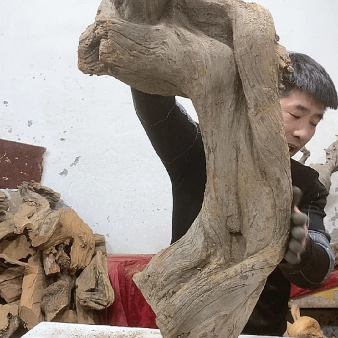 【闪购商品】柏木锦*阁我们都是好孩子