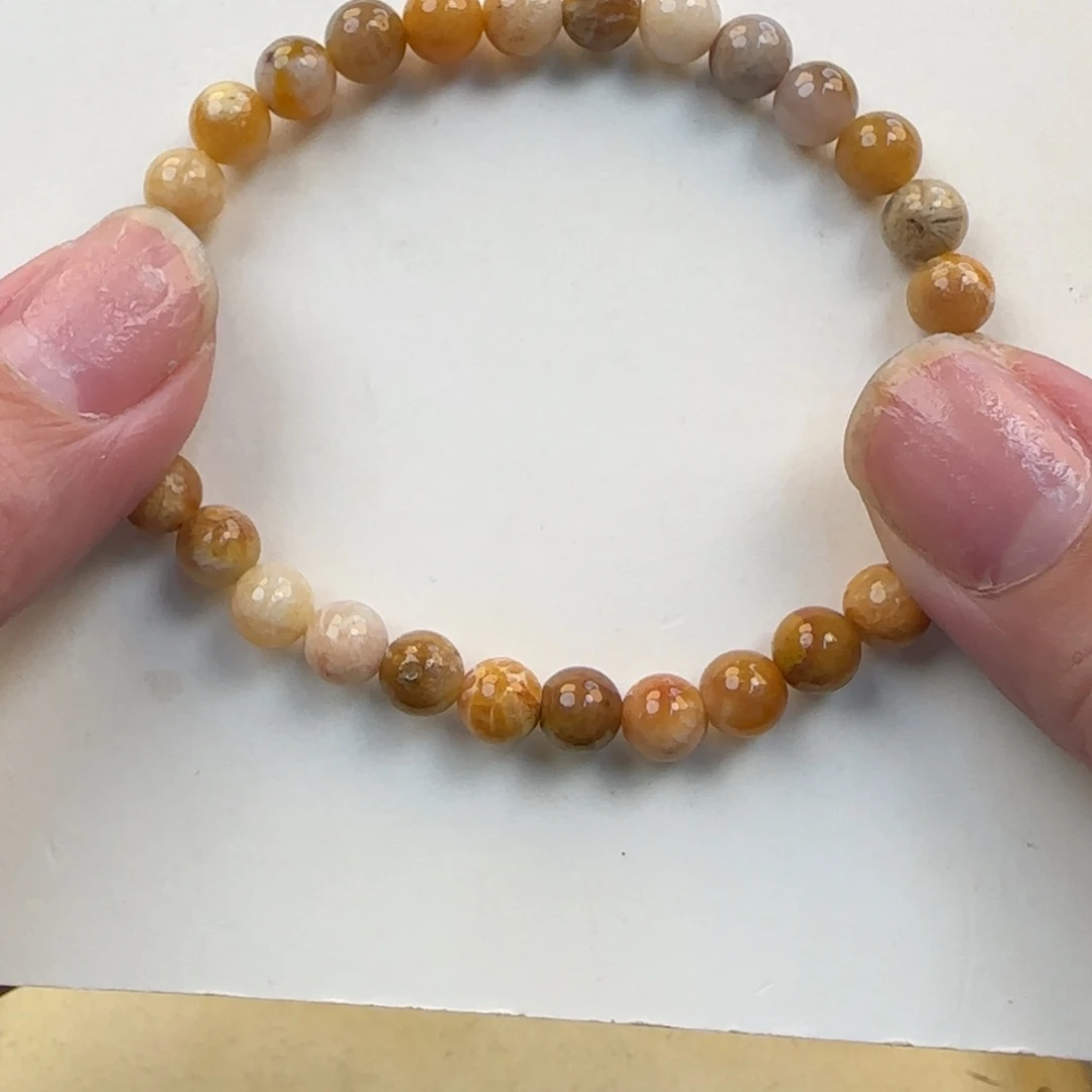 硅化珊瑚（珊瑚玉）未镶嵌颈饰