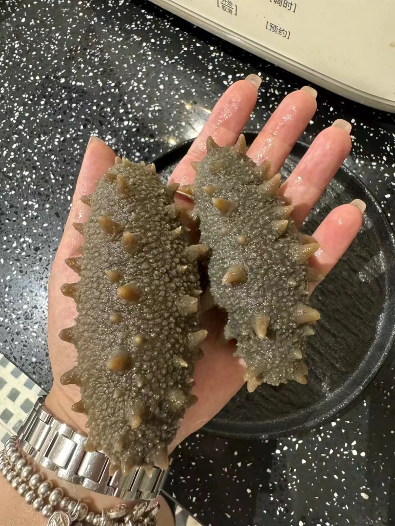 现货挑选直发即食海参口感Q弹 单只独立装顺丰包邮大连海参海鲜