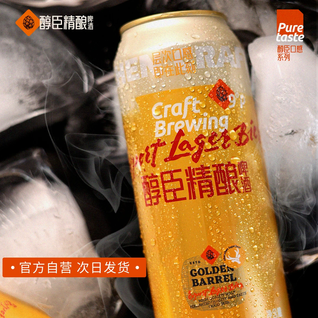 醇臣精酿啤酒500ml*12罐装 全麦精酿聚会畅饮型