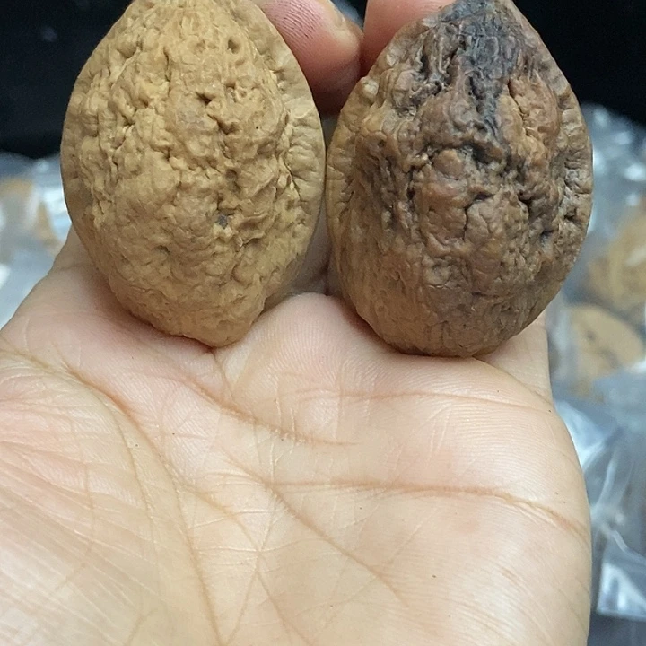 文玩核桃把件云南铁核桃基地30