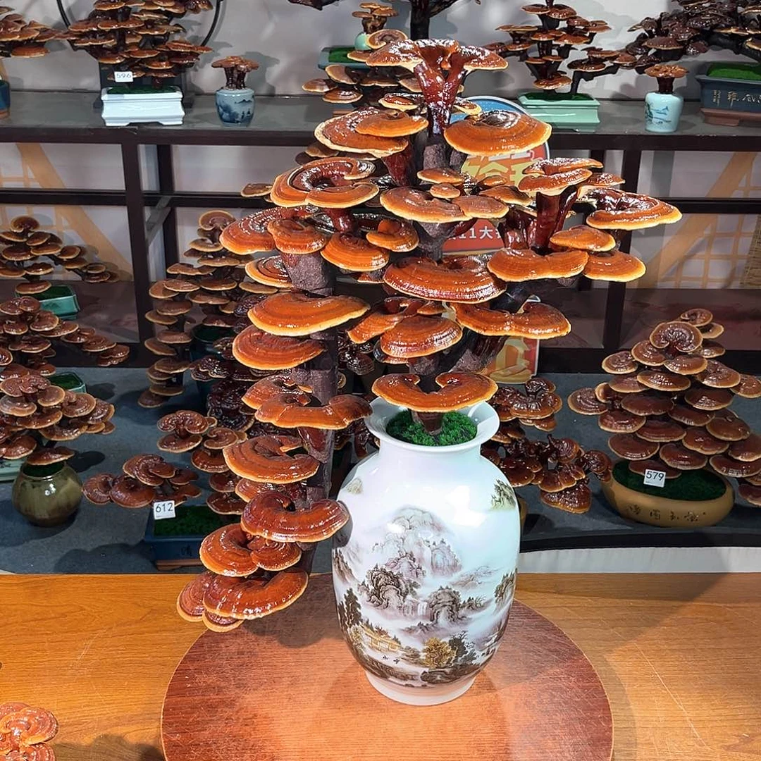 无花朵万事如意88888888888