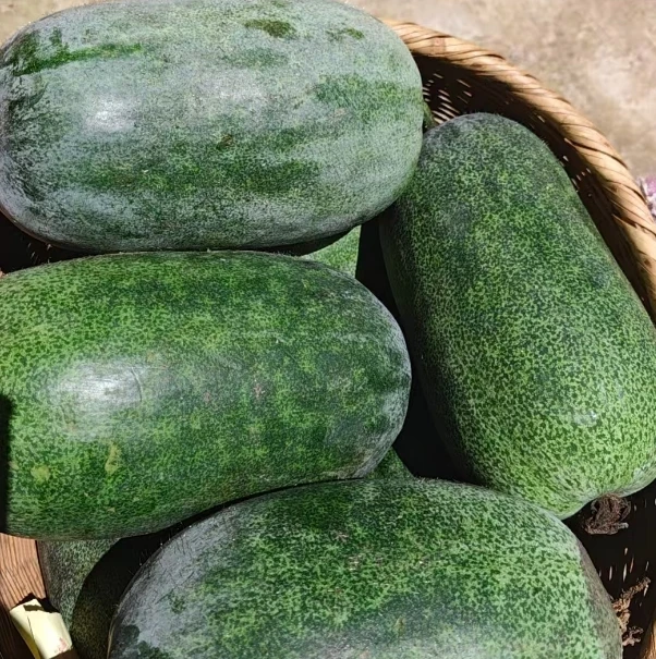 一哥山货—新鲜冬瓜