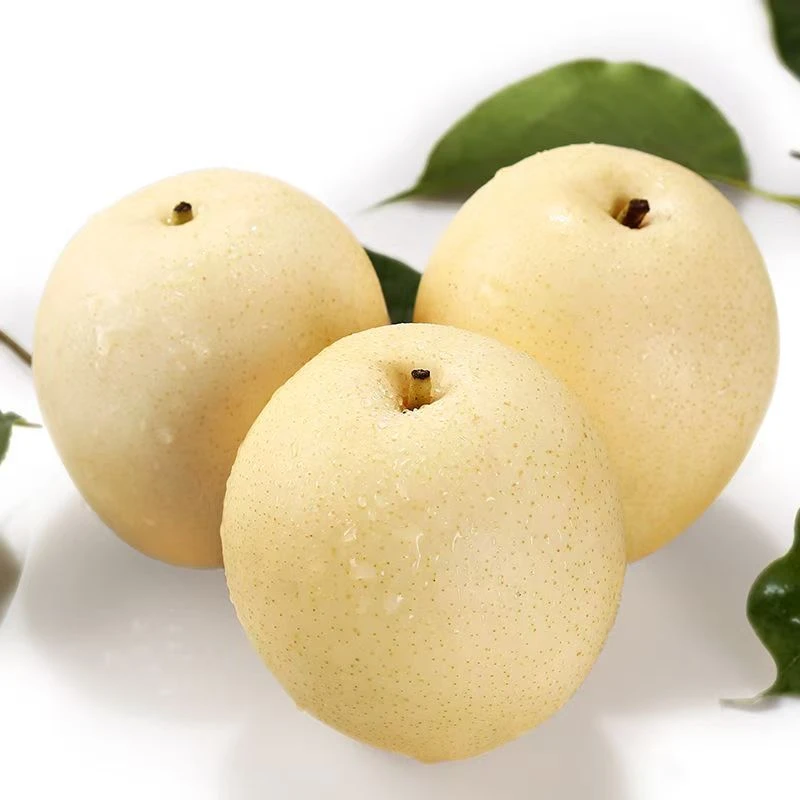 河北皇冠梨赵县黄冠梨脆甜多汁新鲜水果梨子非雪梨鸭梨砀山梨酥梨