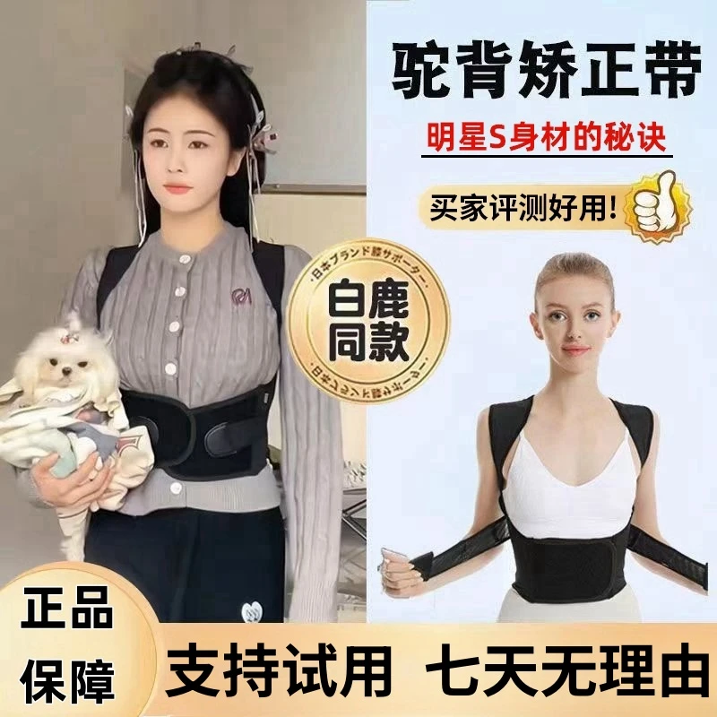 【白鹿同款】矫姿带矫正驼背带成人专用护腰美背带背部矫正驼背神器