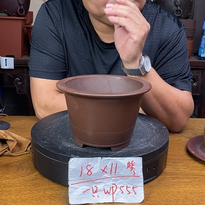 紫砂货号一只WP555