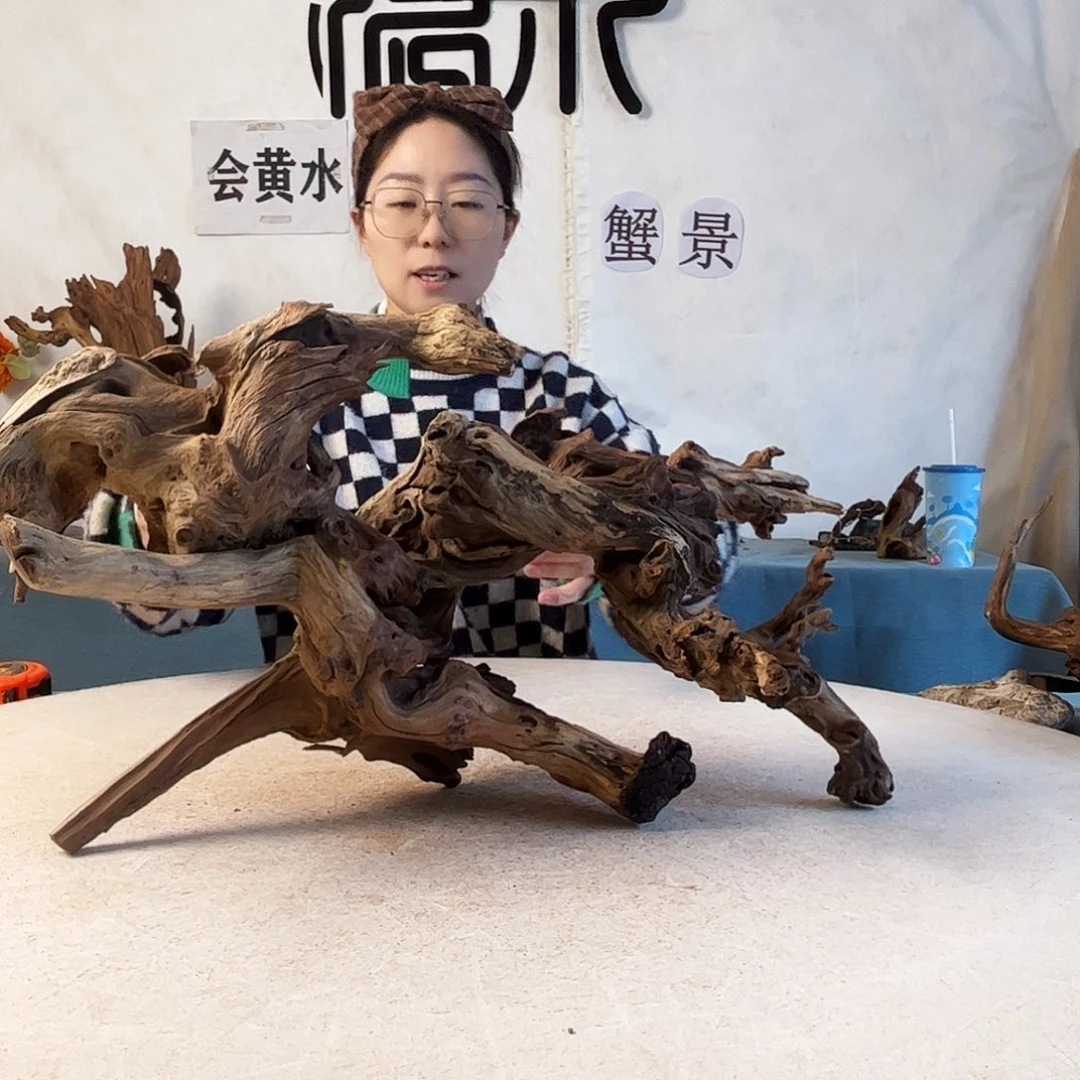 周末福利沉木造景