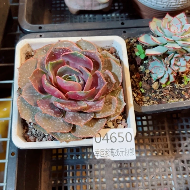 幸运的是我还没遇到