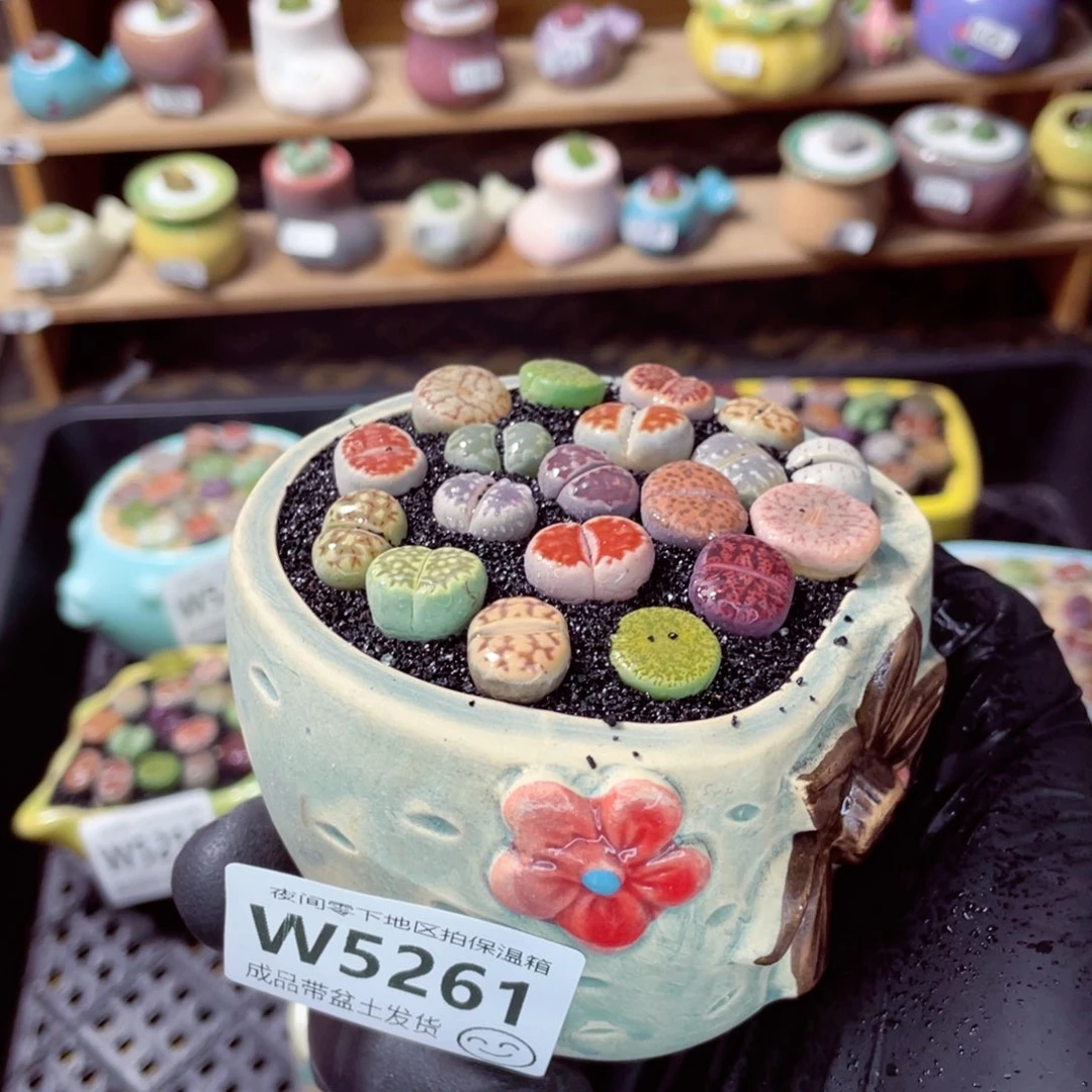 夜间零下地区拍保温箱w5261