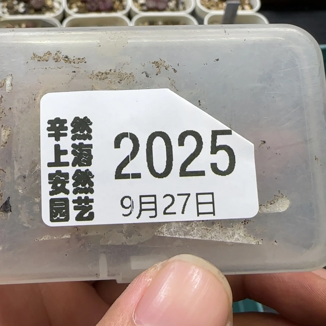 阿***79.27。 .6糖霜x2+ken饼。 2025