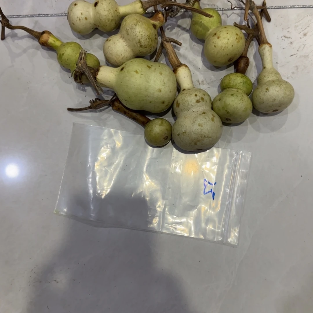 无***。青皮不包成青皮不包成