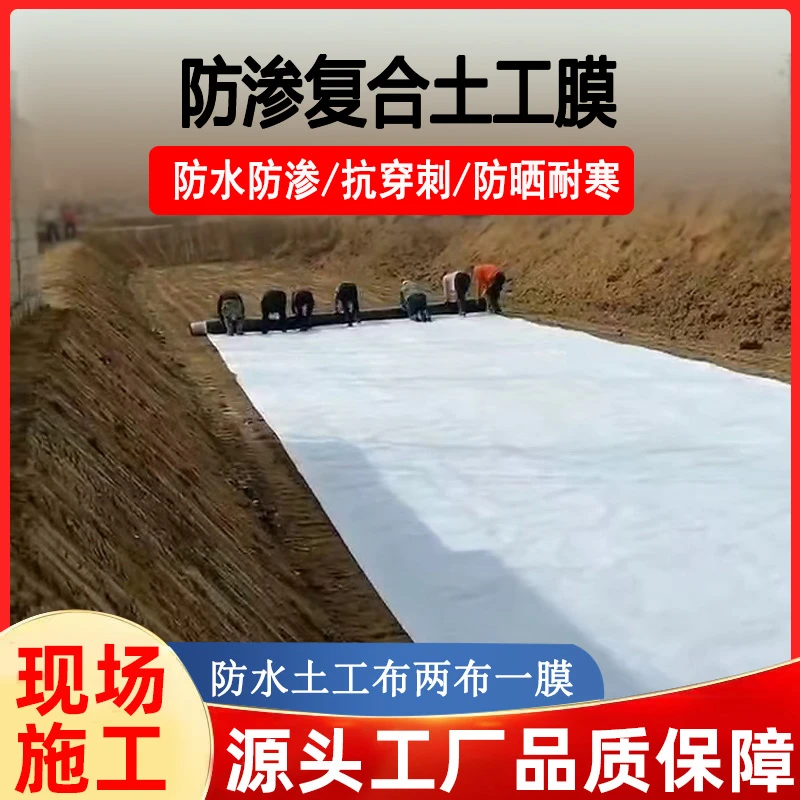 复合土工膜两布一膜一布一膜防渗防水土工布蓄水池水库灰渣防渗膜