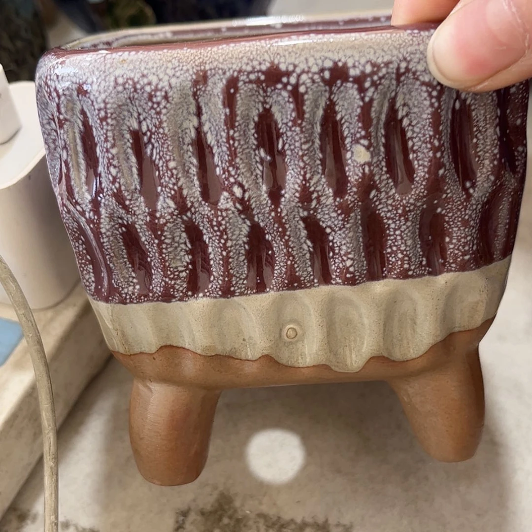 【闪购商品】红陶福利