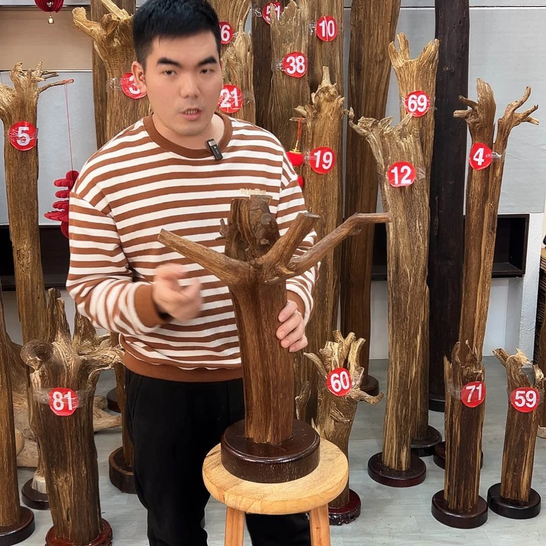 沉香摆件海南沉香摆件