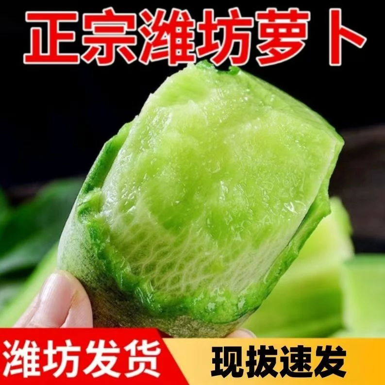 【实惠款天星2号 】山东潍坊水果萝卜新鲜现挖脆甜多汁适合生吃