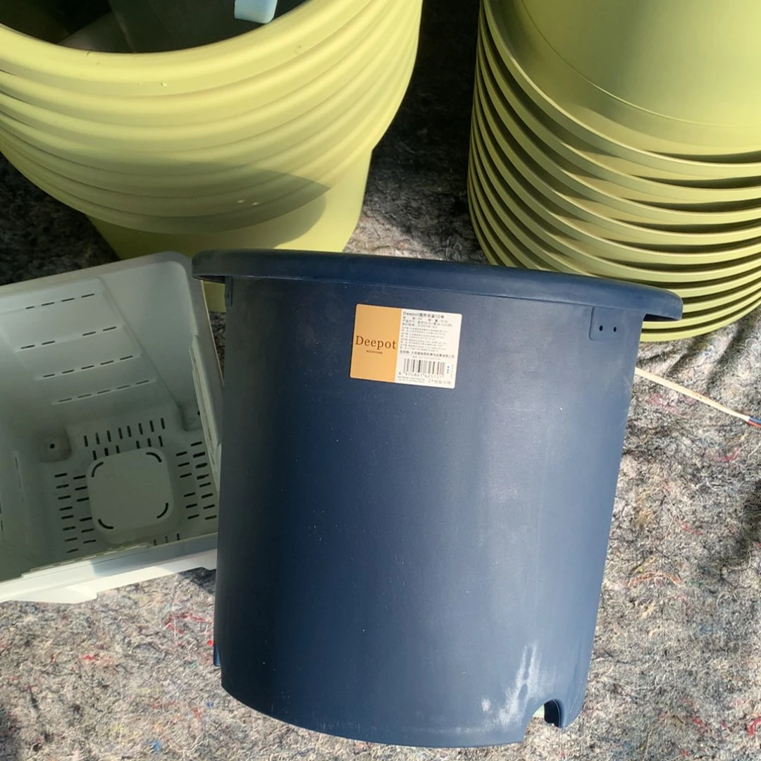 红陶爱*斯32.8口爱丽丝深蓝3个无