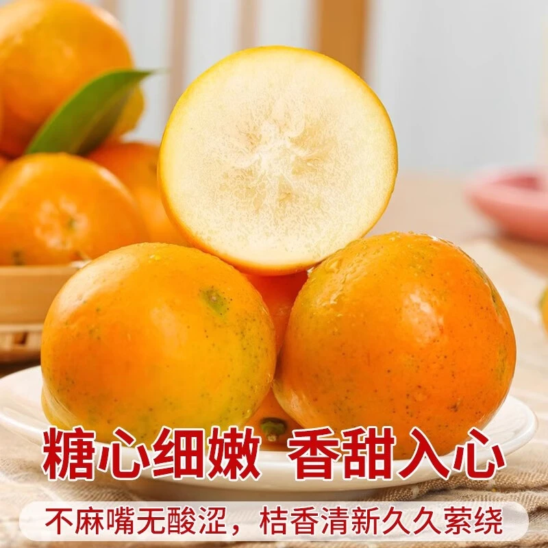 脆蜜金桔500g 利群网商 配送到家