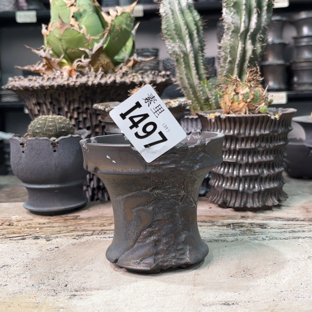 陶内口9.5高9景德镇