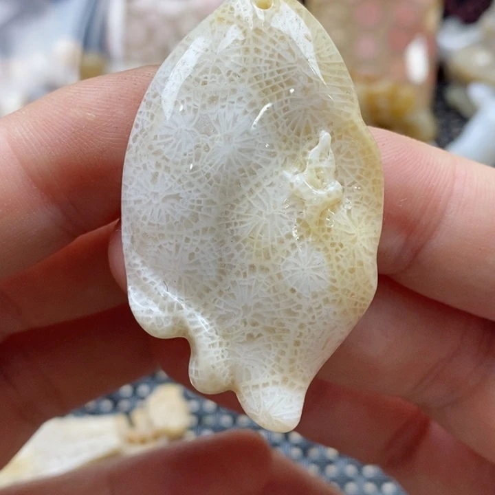 硅化珊瑚（珊瑚玉）颈饰未镶嵌
