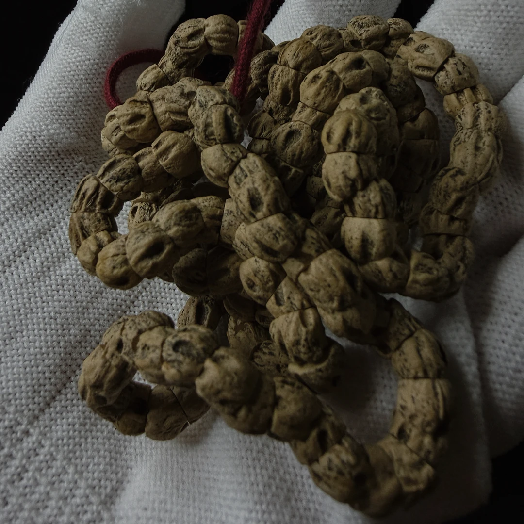 尸陀林鬼脸大肠热振粉油皮柏香籽百香籽易红易透超级好rua