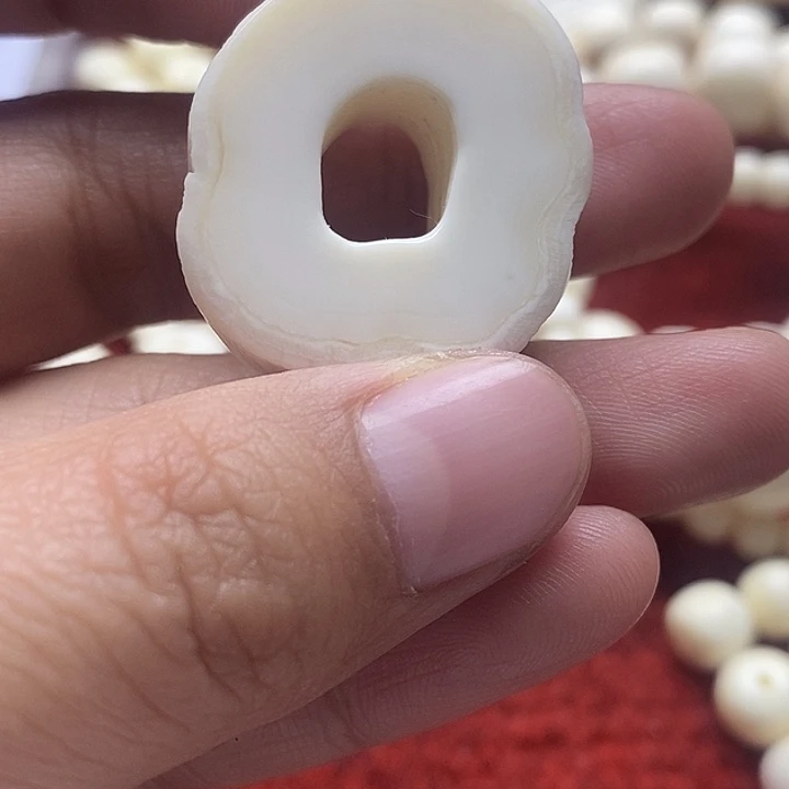 手串/手链贝壳5***哥全品奶片2号