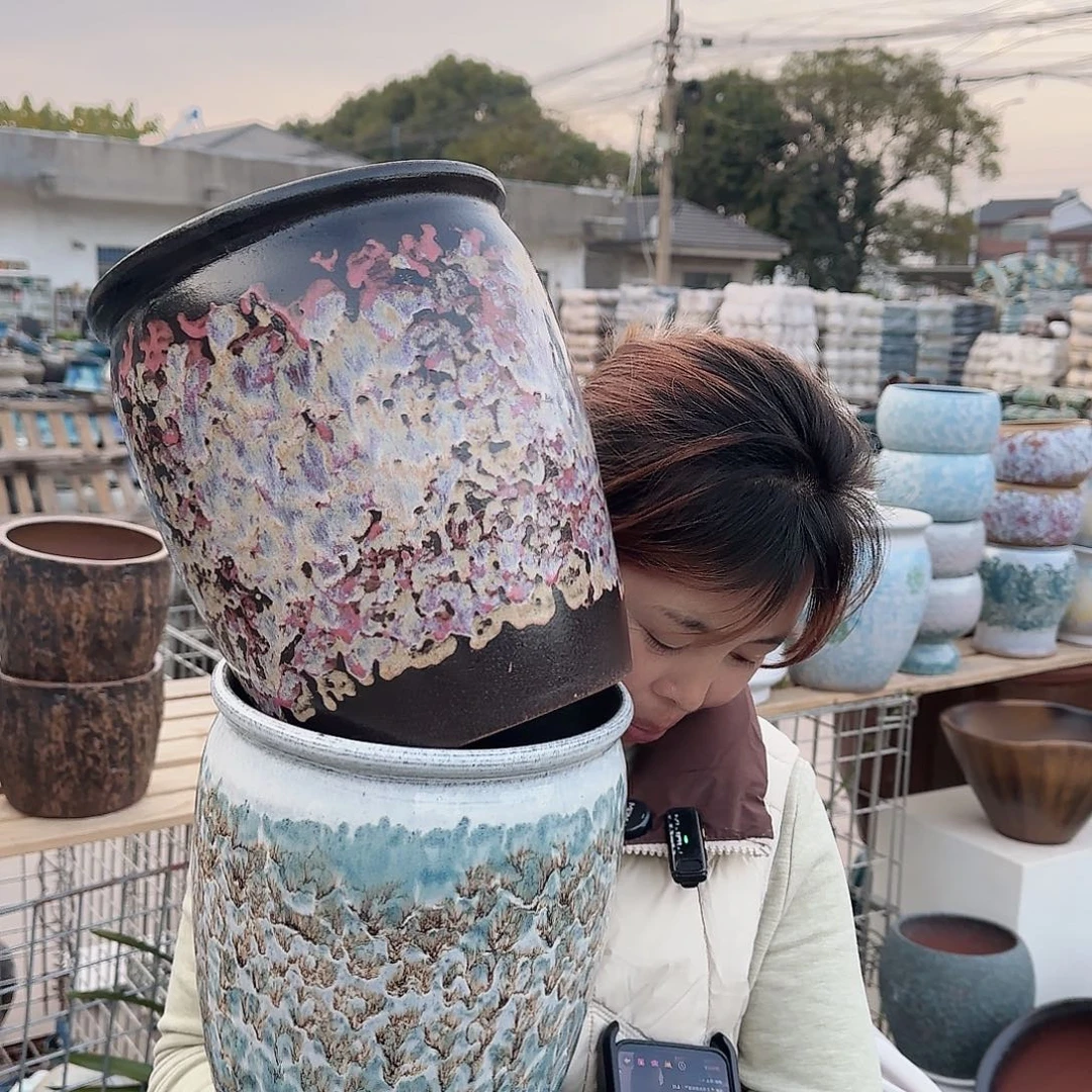 王嫂花盆1204-174高25口20