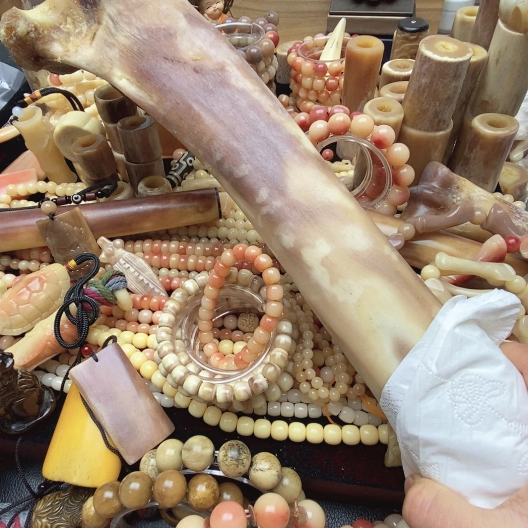 驼骨手串/手链大腿