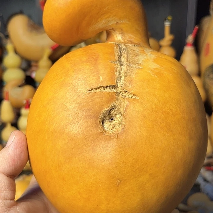 字**人有牛毛纹风裂的异型葫芦