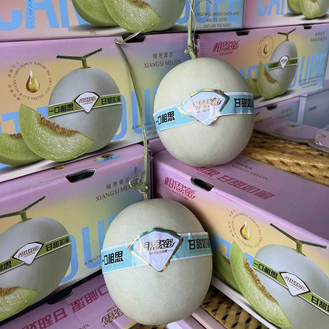 【一口相思 甘甜如蜜】相思蜜 海南冰淇淋玉菇甜瓜5颗净重12斤左右