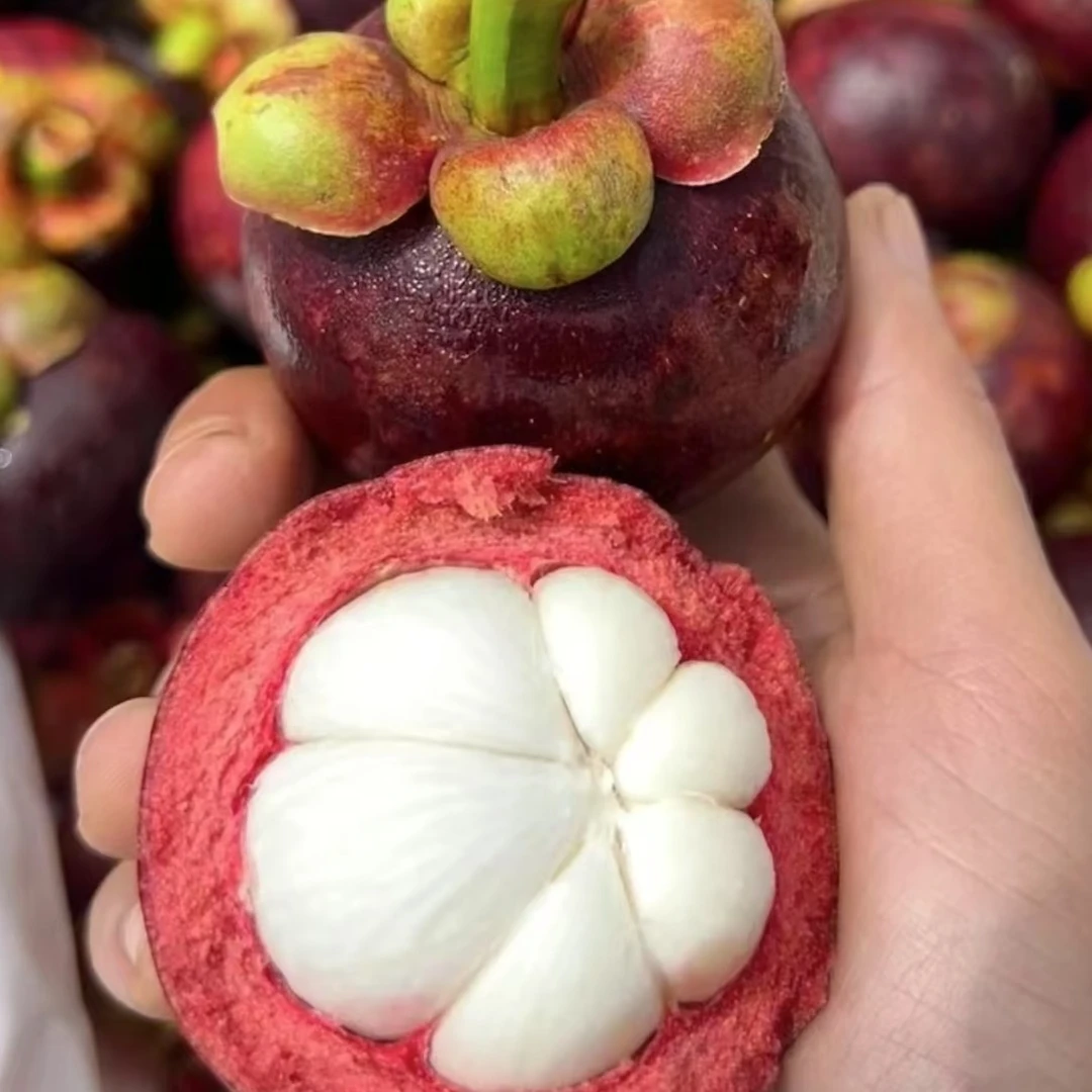 【仙果哆哆】泰国空运3A山竹，新鲜采摘g