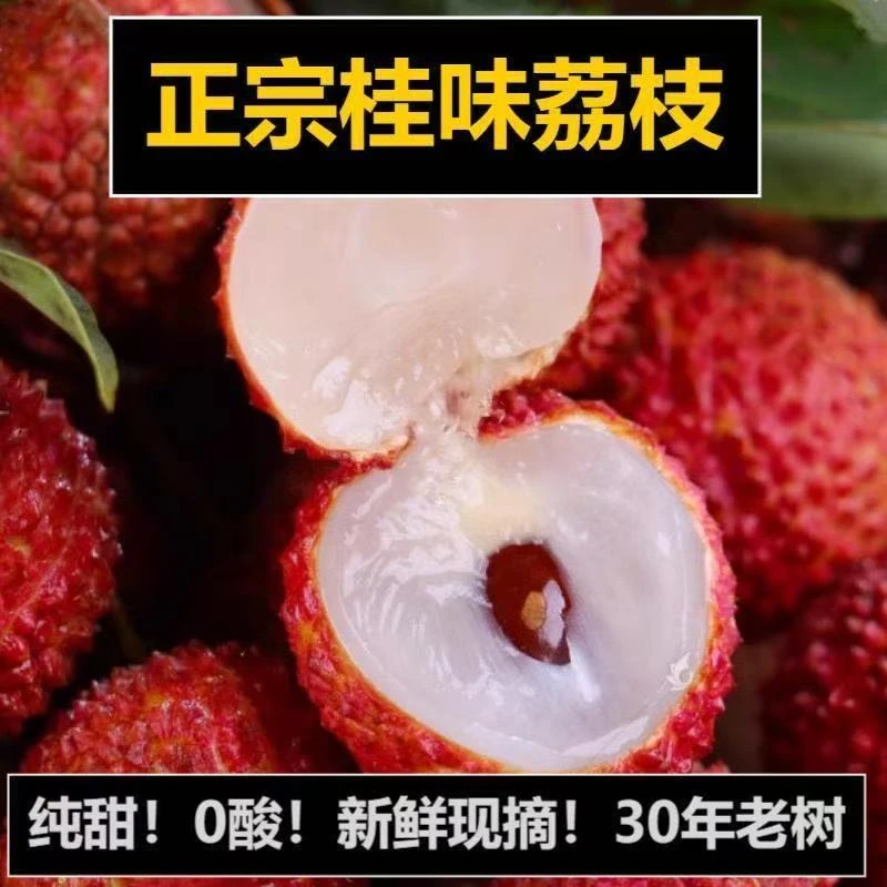 东莞桂味荔枝广东省