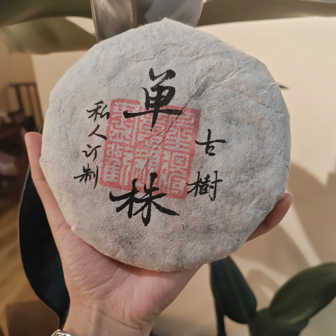 山夫堂2022年单株古树普洱生茶200克