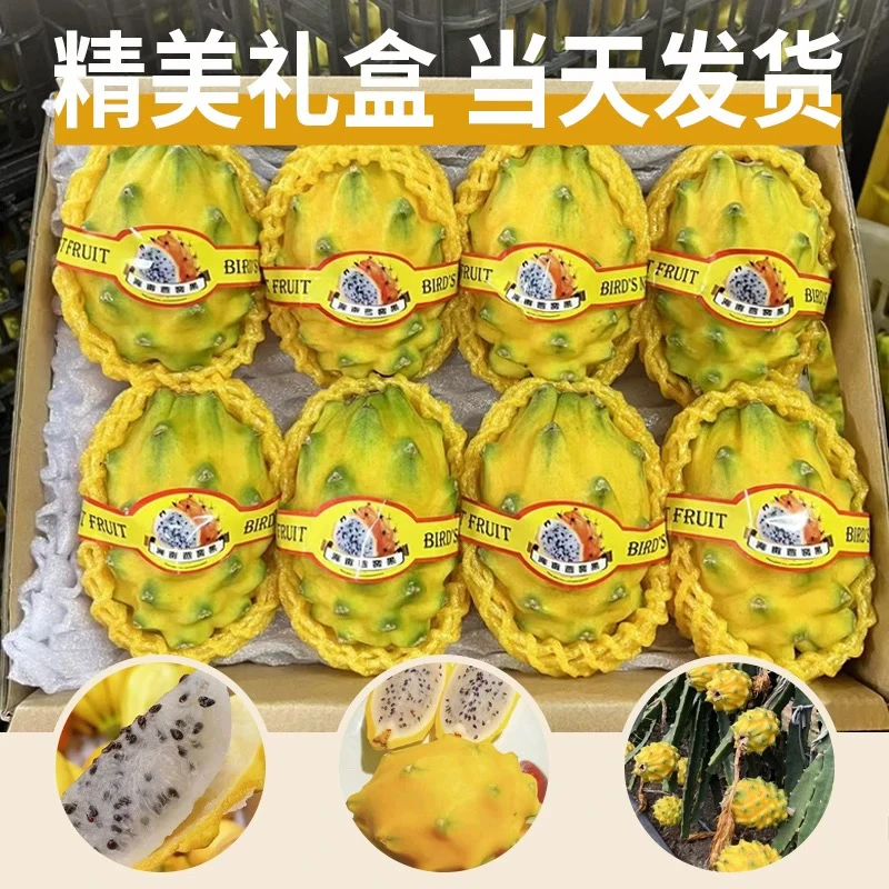 【海南燕窝果】3斤5斤新鲜麒麟果当季热带水果火龙果黄皮白心礼盒装