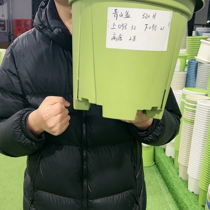 清仓青山口32高28果绿色5只无托