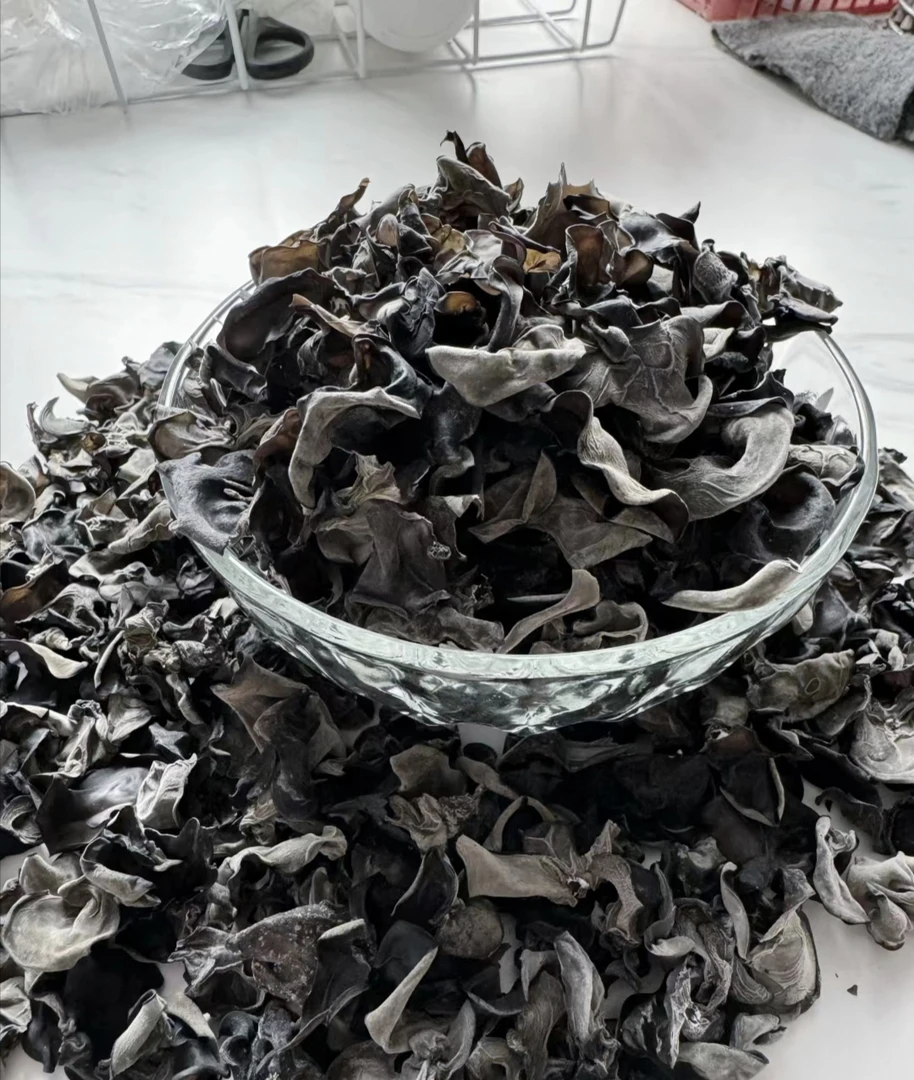 甘肃秦岭高山原产野生青冈木耳