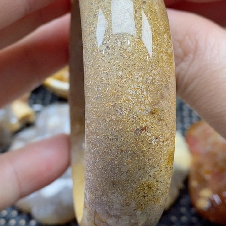 硅化珊瑚（珊瑚玉）颈饰未镶嵌57