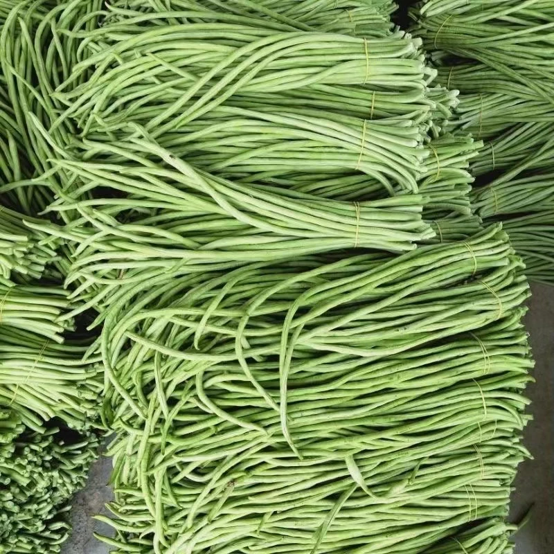 新鲜豆角豇豆农家种植现摘现发嫩豆橛子农村小菜园长豆角