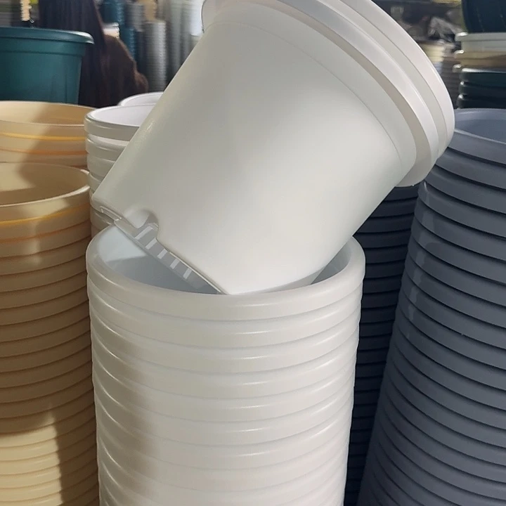 四季5#口径29白色10个无托