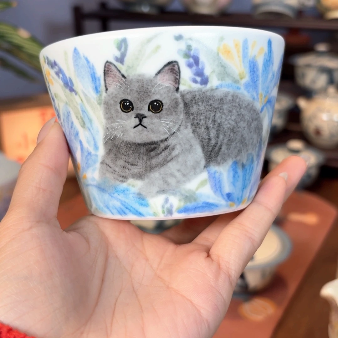 杯杯杯杯杯杯杯808