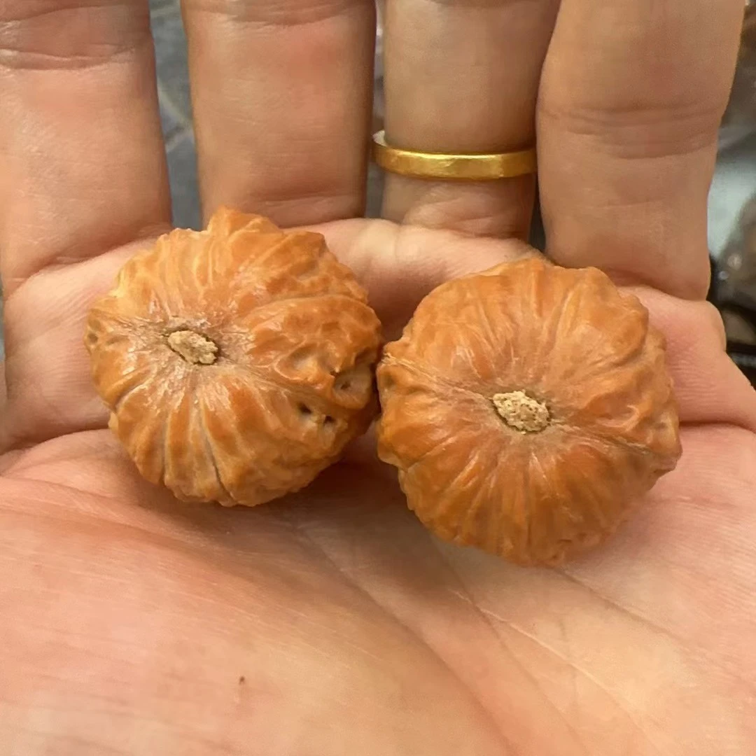 核桃小秋子25mm左右尺寸