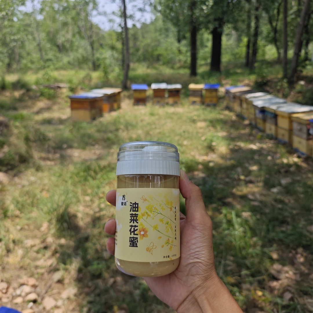 油菜花蜜 自然成熟 天然原蜜 蜂农自销 非浓缩蜜
