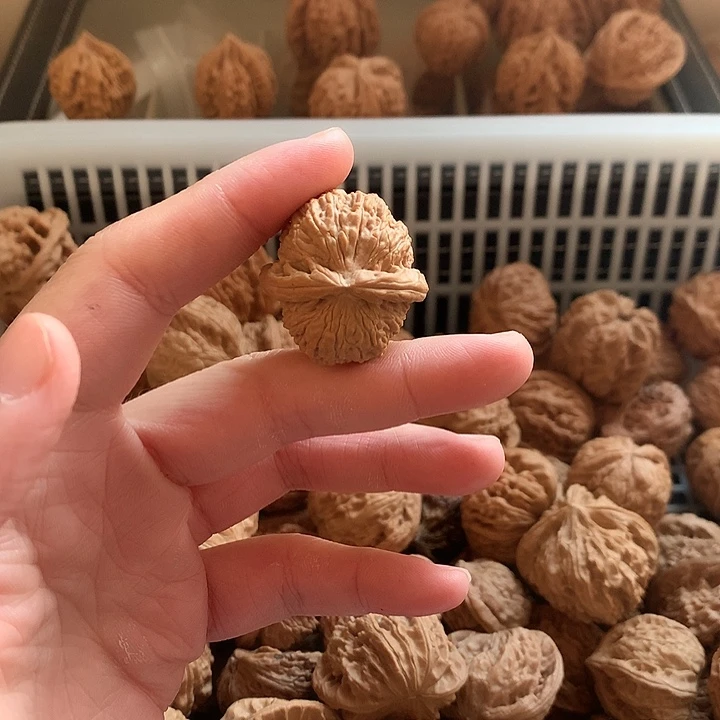 朱***明吊坠文玩核桃白狮子