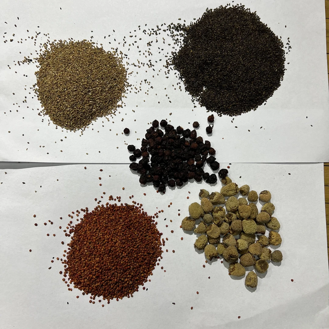 五子饮手艺人覆盆子五味子车前子构桃籽煮水泡水